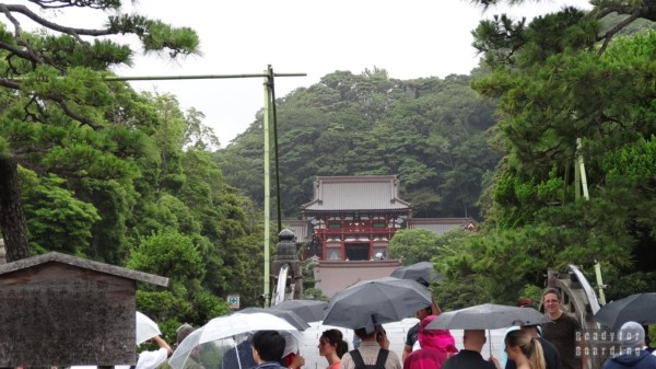 Kamakura - Tsurugaoka Hachimangu