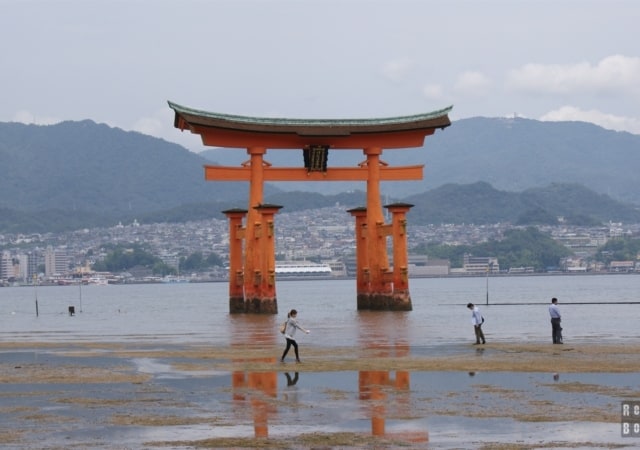 Torii Gate - Itsukushima Shrine