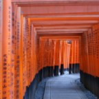 Senbon Torii - the path with the Torii gates in Kyoto