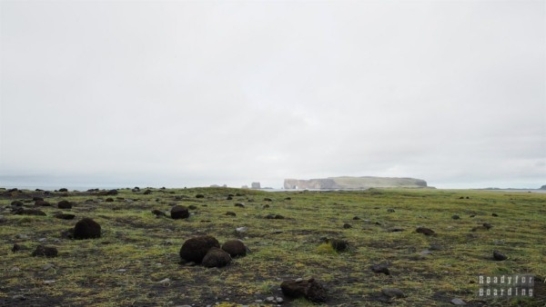 Dyrhólaey Cliffs - Iceland
