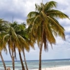 Cuba - Playa Larga & Playa Giron