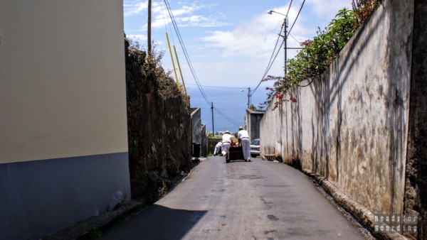 Sledding - Funchal, Madeira