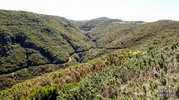 View from Paúl da Serra - Madeira