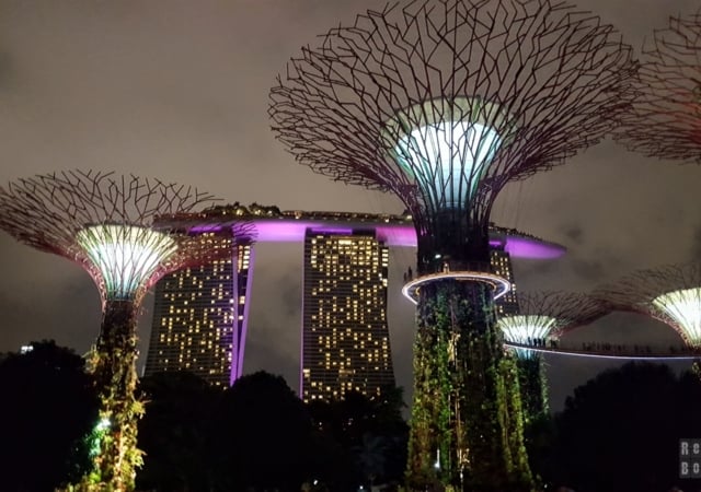 Supertree Grove, Gardens by the Bay - Singapore