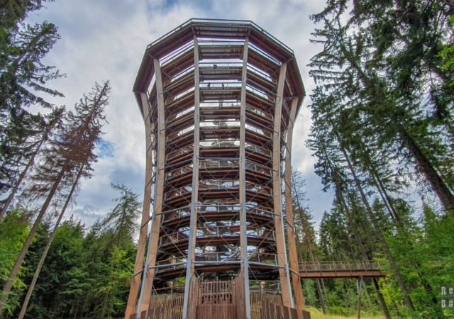 Giant Mountains (Karkonosze): The Tree Top Walk, Janske Lazne, Czech Republic