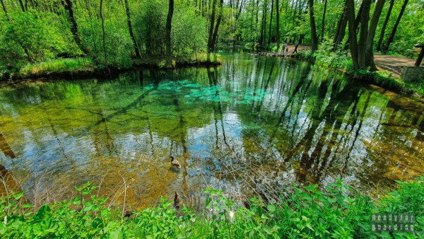 Blue Springs - Ideas for day trips in central Poland - #KrokOdLodzi