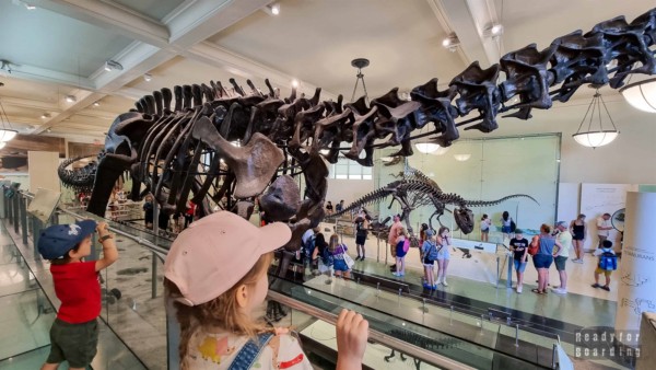 New York for kids - attractions in New York for the whole family!